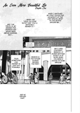 An Even More Beautiful Lie - emanga2