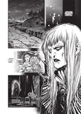 Vampire Hunter D Vol. 8